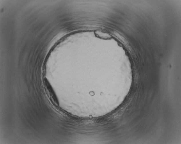 X0000087361283200705181142