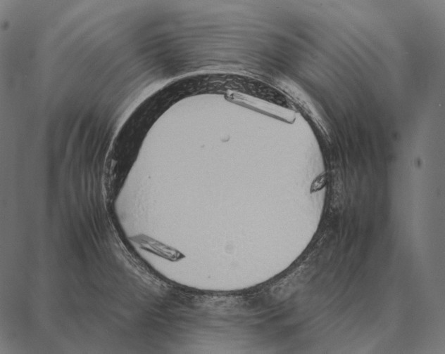 X0000087361284200705181142