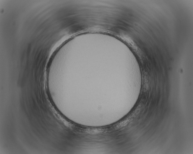 X0000087361286200705181142