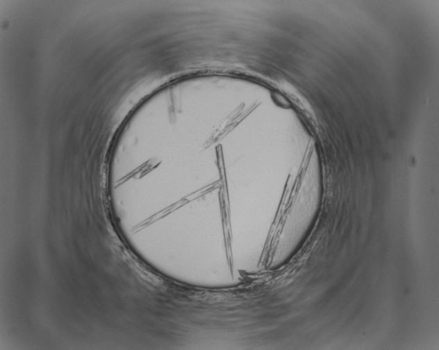 X0000087361287200705181142