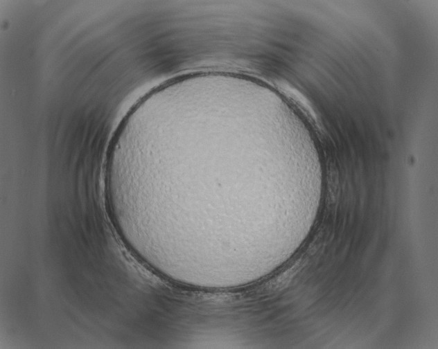 X0000087361288200705181142