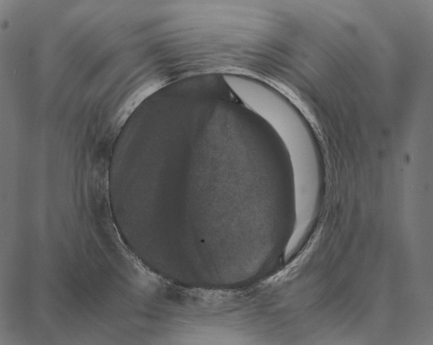 X0000087361289200705181142