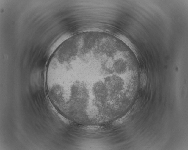 X0000087361290200705181142