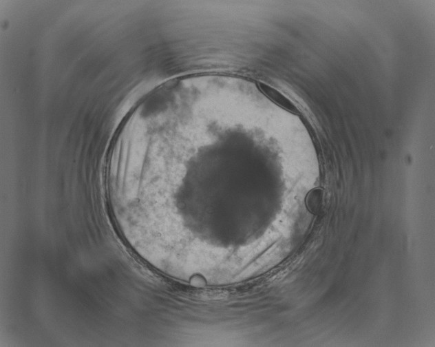 X0000087361291200705181142