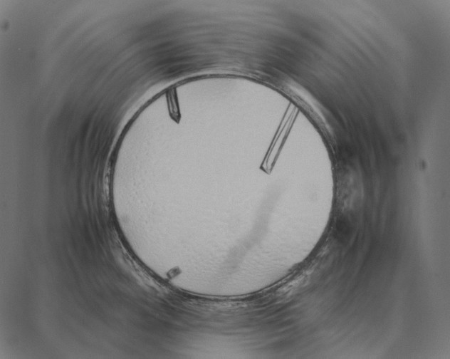 X0000087361292200705181142