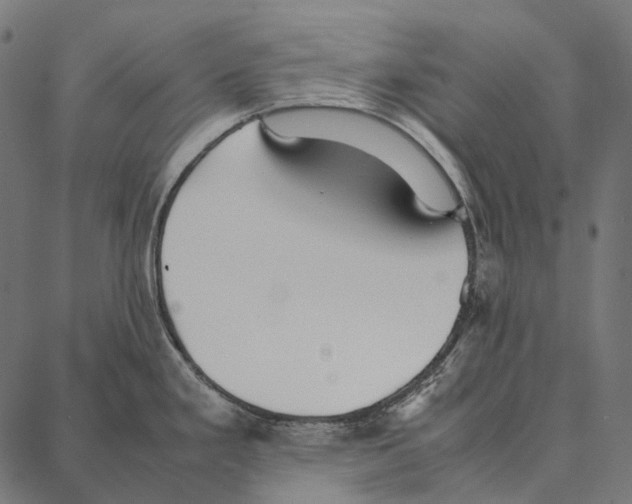 X0000087361293200705181142