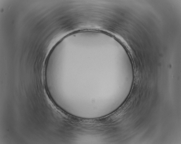 X0000087361295200705181142