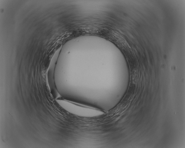 X0000087361298200705181141