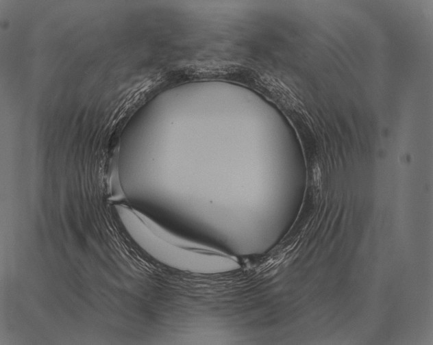 X0000087361300200705181141