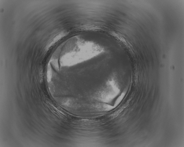 X0000087361306200705181141