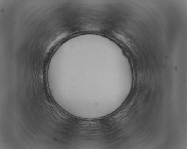 X0000087361307200705181141