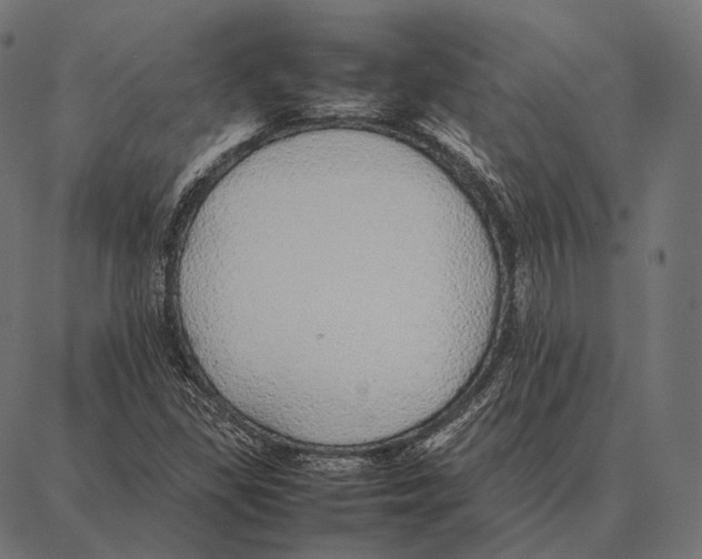 X0000087361309200705181141