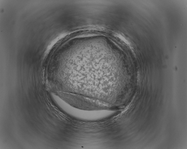 X0000087361310200705181141