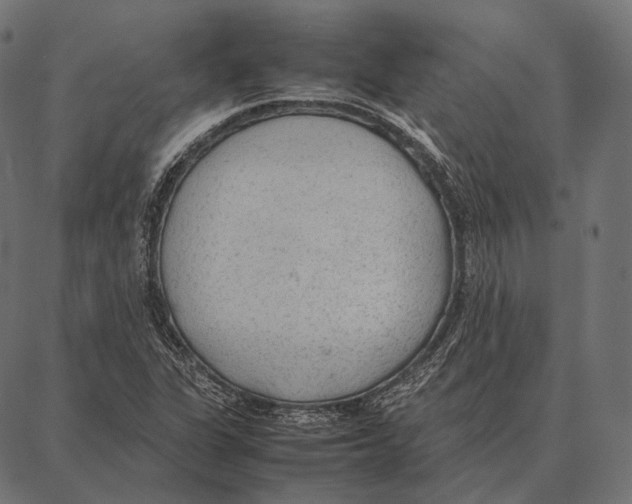 X0000087361311200705181141