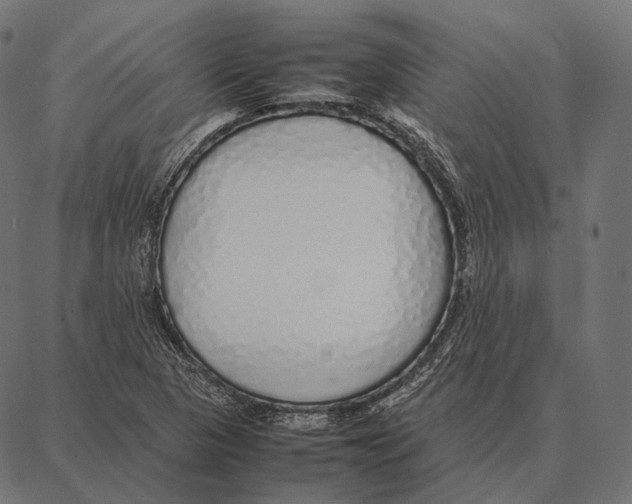 X0000087361313200705181141