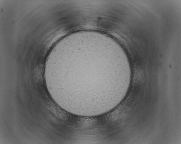 X0000087361314200705181141