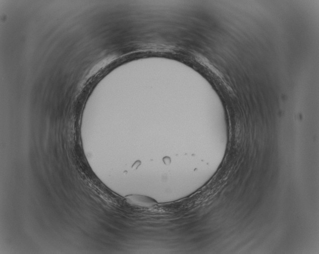 X0000087361315200705181141