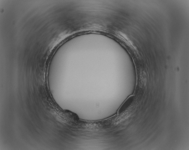 X0000087361316200705181141