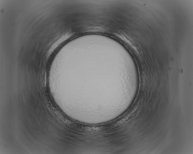 X0000087361317200705181141