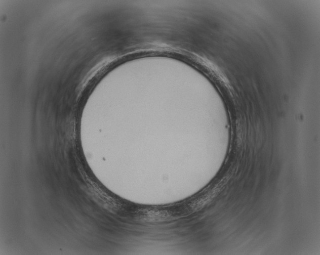 X0000087361318200705181141