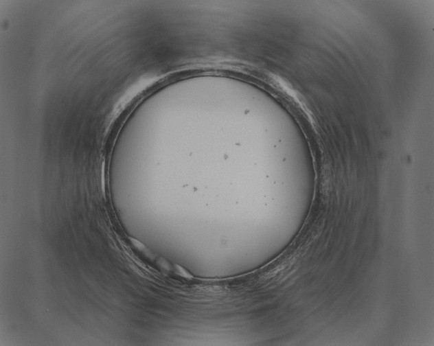 X0000087361320200705181142