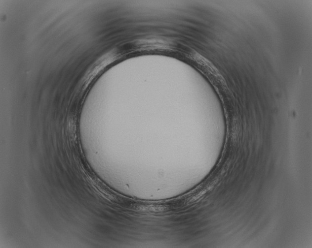 X0000087361321200705181142