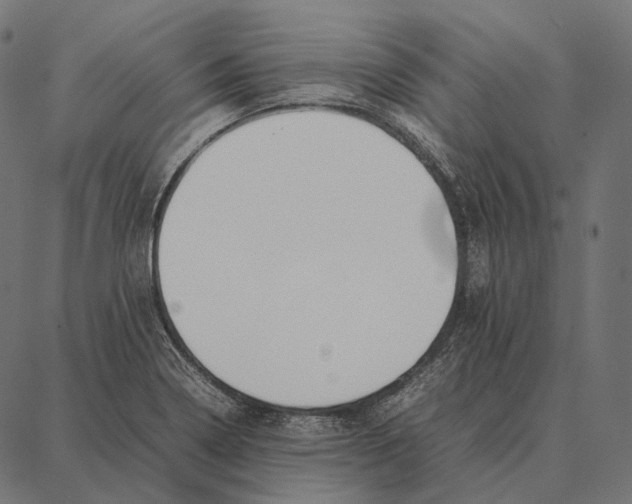 X0000087361322200705181142