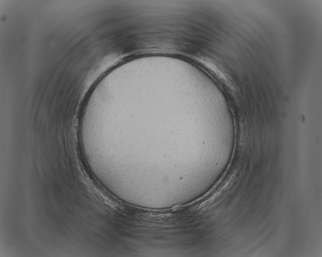 X0000087361325200705181142