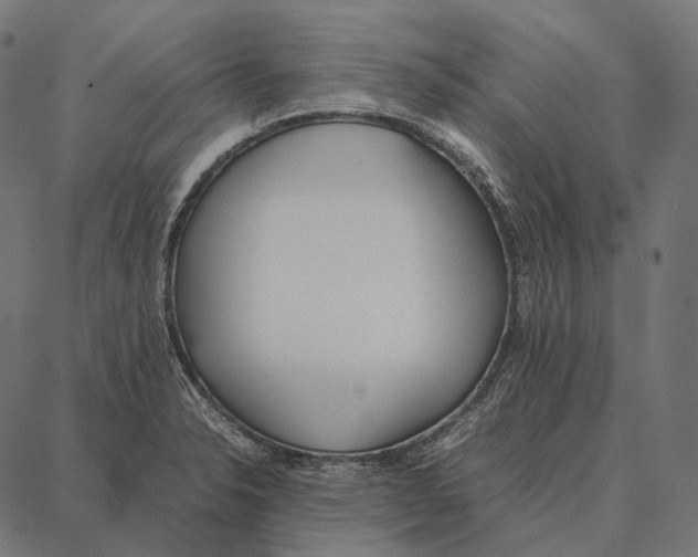 X0000087361326200705181142