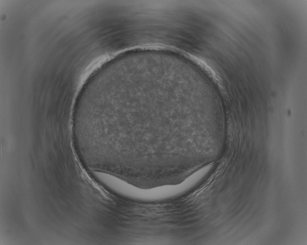 X0000087361327200705181142