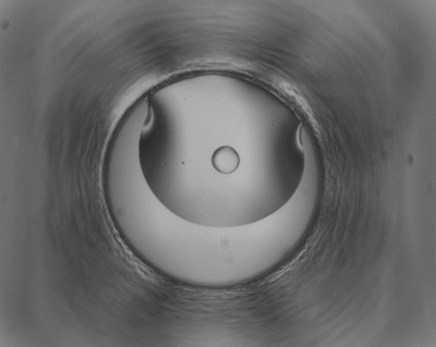 X0000087361328200705181142