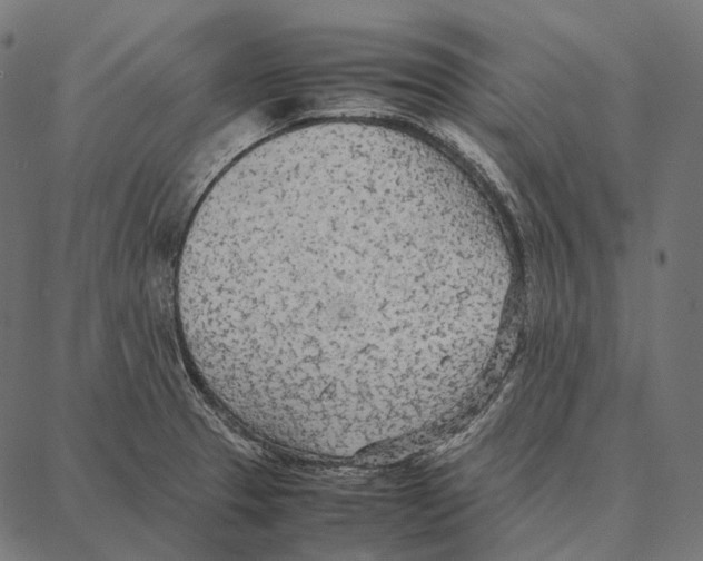 X0000087361329200705181142