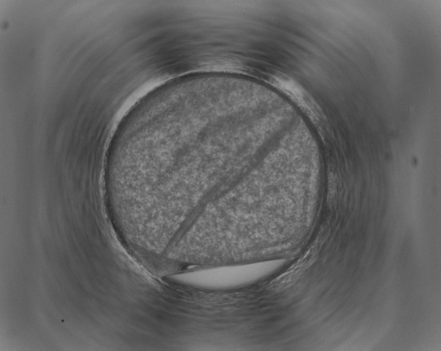 X0000087361331200705181142