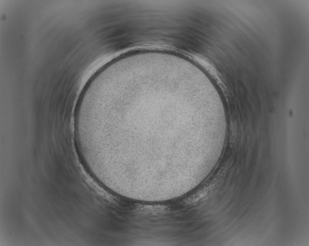 X0000087361335200705181142