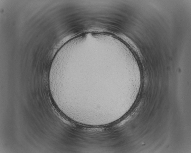 X0000087361337200705181142