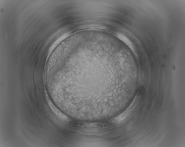 X0000087361338200705181142