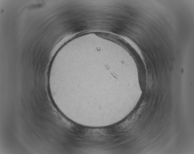 X0000087361341200705181142