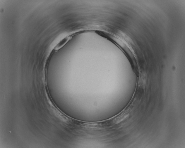 X0000087361342200705181142