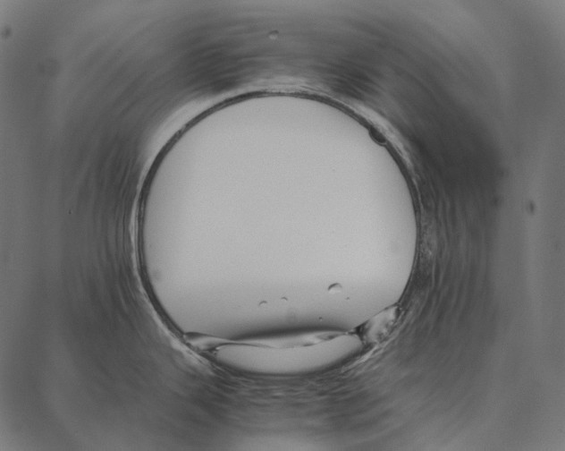 X0000087361343200705181142