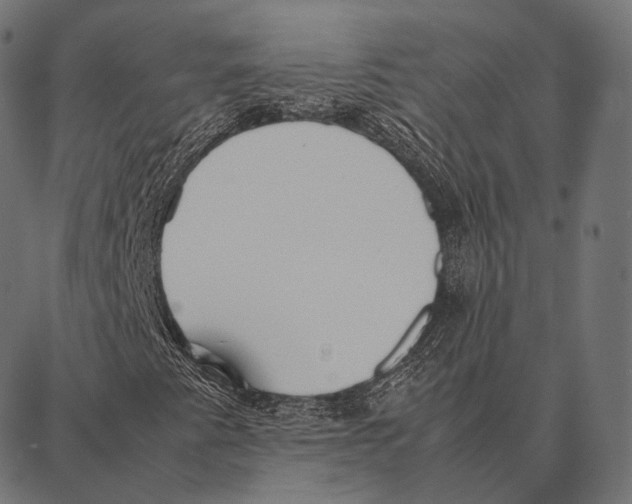 X0000087361345200705181141