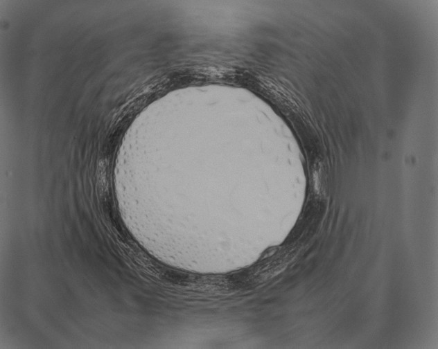 X0000087361347200705181141