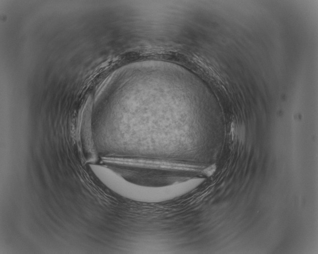 X0000087361348200705181141