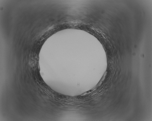 X0000087361349200705181141