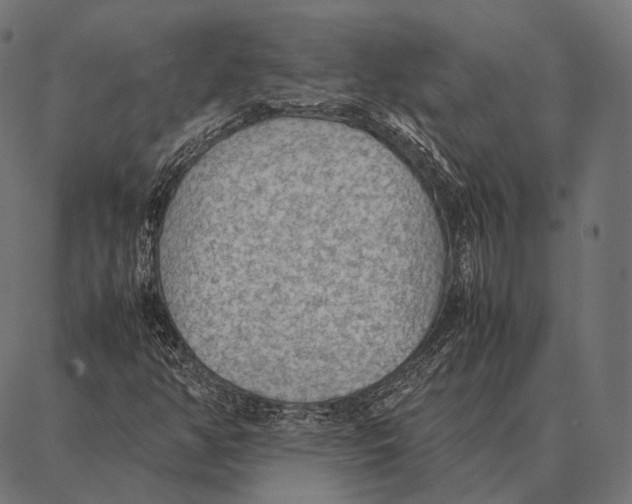 X0000087361350200705181141