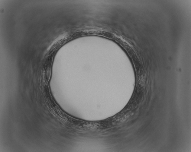 X0000087361351200705181141