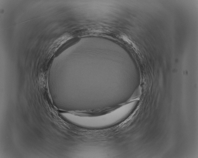 X0000087361353200705181141