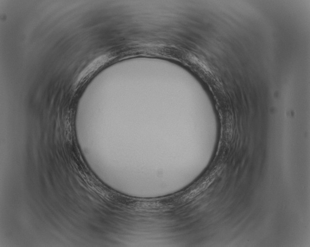 X0000087361354200705181141