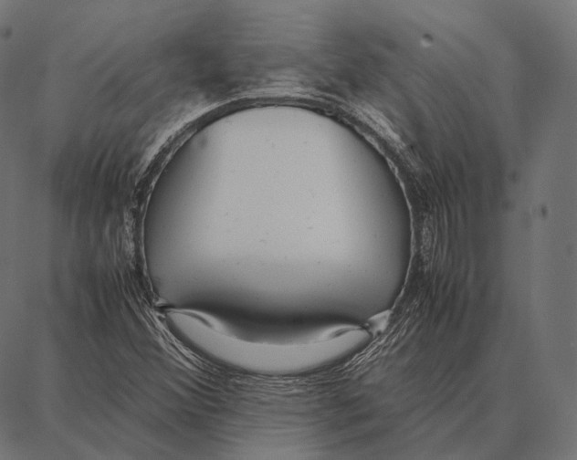 X0000087361356200705181141