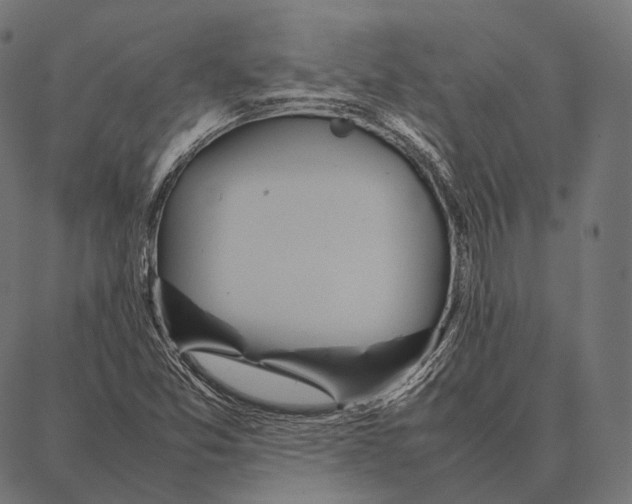 X0000087361357200705181141