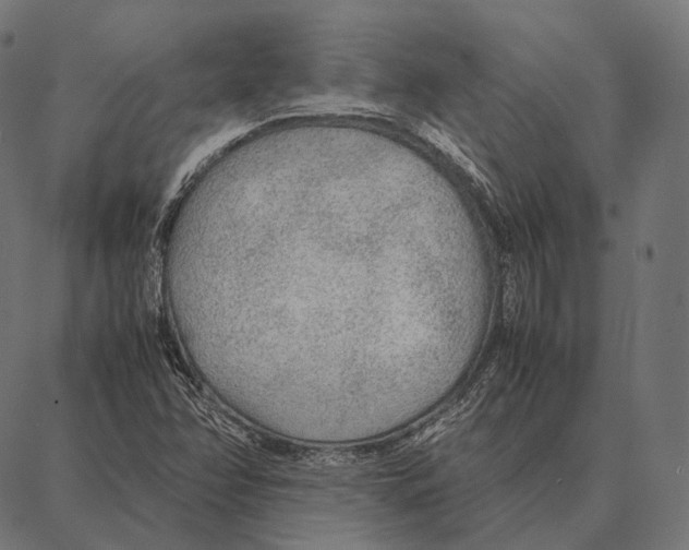 X0000087361358200705181141